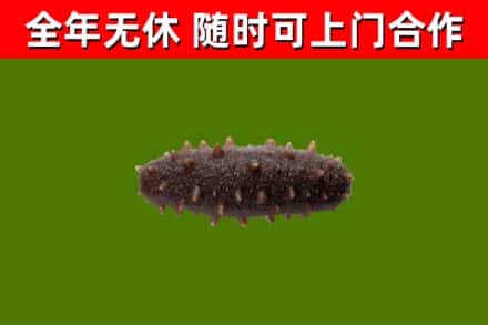 乐清烟酒回收干海参.jpg